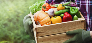 Масови кражби във Франция: Задигат тонове плодове и зеленчуци от ниви и градини