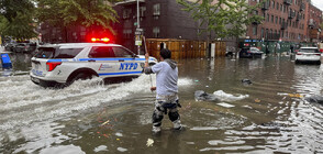 Поройни дъждове наводниха Ню Йорк