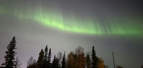 Небесен танц: Северно сияние озари небето над Аляска (ВИДЕО)
