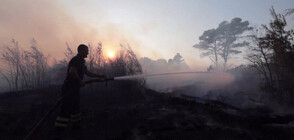Горски пожари опустошават албанското крайбрежие (ВИДЕО)