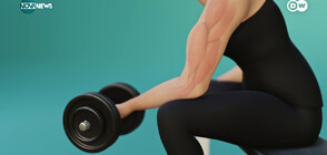 Как работят мускулите и как да ги поддържаме във форма (ВИДЕО)