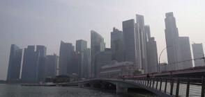 Токсична мъгла обгърна Сингапур (ВИДЕО)