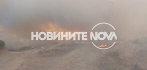 Горски пожар в община Гълъбово (СНИМКИ)