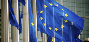 Европейската комисия следи дебата за регулаторите и ротацията у нас