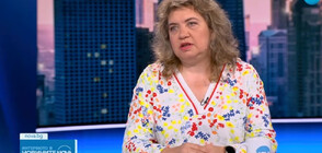 Доц. Киселова: Ден след отхвърляне на вота на недоверие, може да бъде внесен нов по друг въпрос