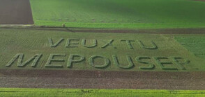 Романтично: Фермер изписа „Ще се омъжиш ли за мен?” в огромно поле (ВИДЕО)