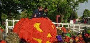 В Дания направиха най-голямата тиква от Lego в света (ВИДЕО)