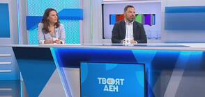 Победители и победени: Анализ на експертите