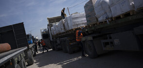 33 камиона с хуманитарна помощ са влезли в Газа в неделя