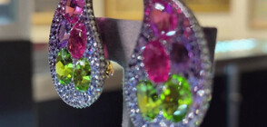 Продават на търг предмети, принадлежащи на известната американска журналистка Барбара Уолтърс (ВИДЕО)