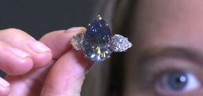 Продават рядък син диамант за 50 млн. долара в Женева (ВИДЕО)