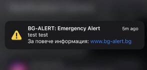 Системният интегратор „Сискод”, отговорен за изпратените съобщения чрез BG-ALERT, се извини за причиненото безпокойство