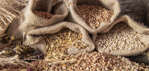 ВНИМАНИЕ! ПЕСТИЦИДИ!: Защо са открити в 1/3 от зърнените храни в Европа?