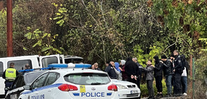 14 illegal migrants detained in vehicle in Veliko Tarnovo