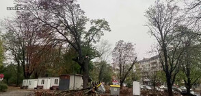 Силна буря удари регионите в страната, двама души загинаха (ОБЗОР)