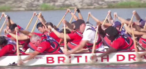 Принц Уилям спечели състезание с драконови лодки в Сингапур (ВИДЕО)