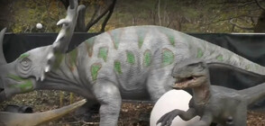 Динозаври в Балкана: Къде праисторическите животни „оживяват" в реални размери?