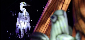 Екзотика в Париж: Посветиха светлинна изложба на животни от джунглата (ВИДЕО)