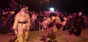 Демонът на Дядо Коледа Крампус посети децата в Словения (ВИДЕО)