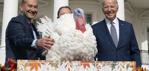 "Поздравления, птици": Байдън помилва две пуйки преди Деня на благодарността (ВИДЕО)