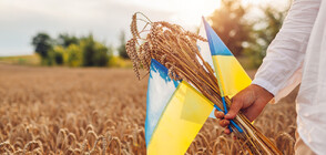 Bulgaria one of five EU member states that demand aid for farmers affected by Ukrainian imports