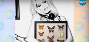 Любопитно хоби: Клаудия Шифър колекционира пеперуди