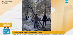 ПОМОГНИ СИ САМ: Как жители на София се справиха с паднало дърво след обилния снеговалеж