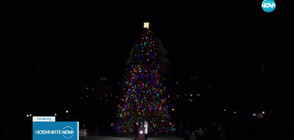Коледно настроение: Ученик запали светлините на елхата пред Капитолия (ВИДЕО)