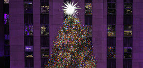 Коледната елха на Ню Йорк засия с 50 000 светлини (ВИДЕО)