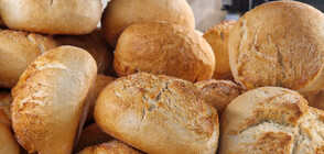 FACTCHECK: Хлебната мая не може да ви разболее