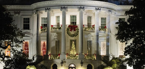 Стотици доброволци украсиха Белия дом за Коледа (ВИДЕО)