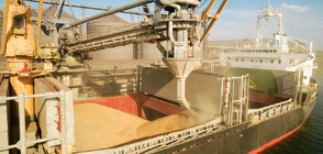 България и Украйна се договориха за износа на слънчоглед, рапица, царевица и пшеница