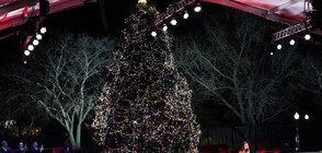 Джо Байдън запали светлините на коледната елха пред Белия дом (ВИДЕО+СНИМКИ)