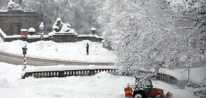 Обилен снеговалеж отмени стотици полети от летището в Мюнхен (ВИДЕО)