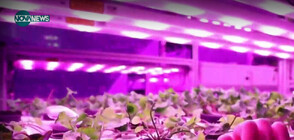 Растения в космоса: Френска лаборатория с иновативен отгoвор на изменението на климата