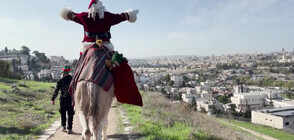 Дядо Коледа с послание за мир в Йерусалим (ВИДЕО)