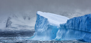 Учени взеха проби от водата около най-големия айсберг в света (ВИДЕО)