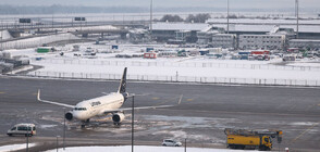 Отново затвориха летището в Мюнхен: Над 300 полета са засегнати  (ВИДЕО+СНИМКИ)