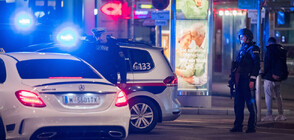 Задържаха тийнейджър по подозрения, че планира атака срещу синагога във Виена