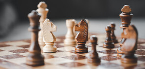 Съдът отхвърли всички жалби срещу лиценза на шахматна федерация
