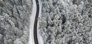 Сняг блокира трафика през високопланинските проходи (ОБЗОР)