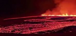 Изригна вулканът на исландския полуостров Рейкянес (ВИДЕО)