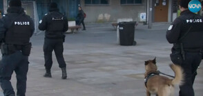 Въоръжени патрули и кучета пазят обществения ред по празниците в Бургас
