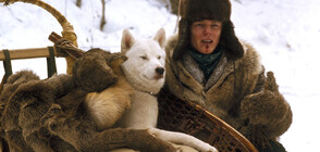 Снежна надпревара с кучешки впрягове в „Железният Уил“ по NOVA