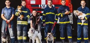 Пожарникари от Казанлък позираха с животни за специален календар