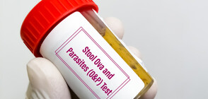 37 души са с трихинелоза от заразено дивечово месо в Пазарджишко