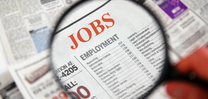Над 11% е безработицата в област Враца