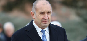 President Radev and heads of Bulgarian services discuss Red Sea crisis