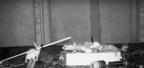Мишка за пример: Гризач подрежда дома на пенсионер (ВИДЕО)
