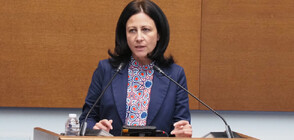 "Възраждане" номинира Цвета Рангелова за конституционен съдия